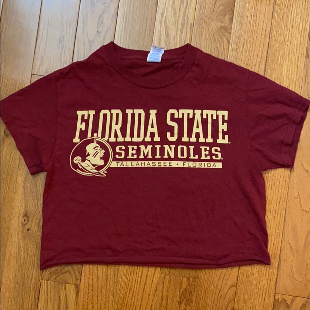 Florida State University Graphic Tee Crop Top